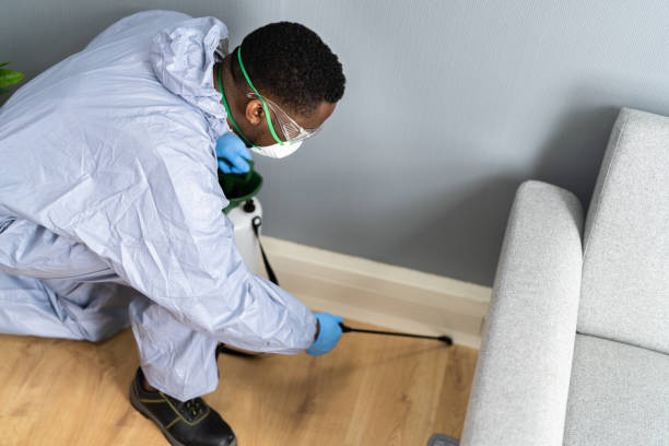 Reliable Cleveland Heights, OH Pest control Solutions